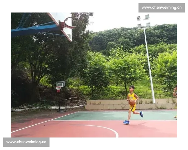 新手如何快速理解篮球比赛的基本规则与技巧分析 - 副本 (3)