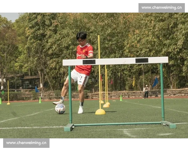 探索体育竞赛背后的精神力量与竞技文化：从比赛到人生的深刻启示 - 副本 (2)